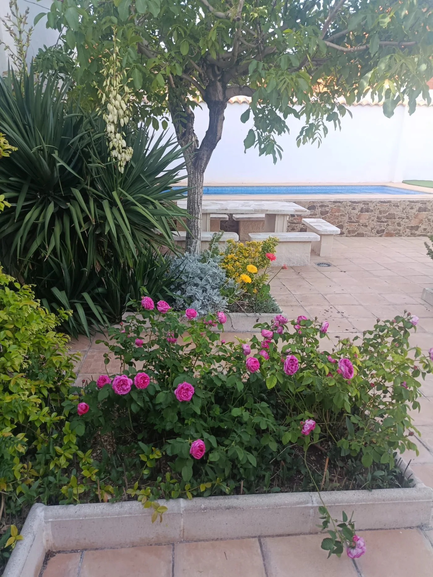 Flores junto a la piscina