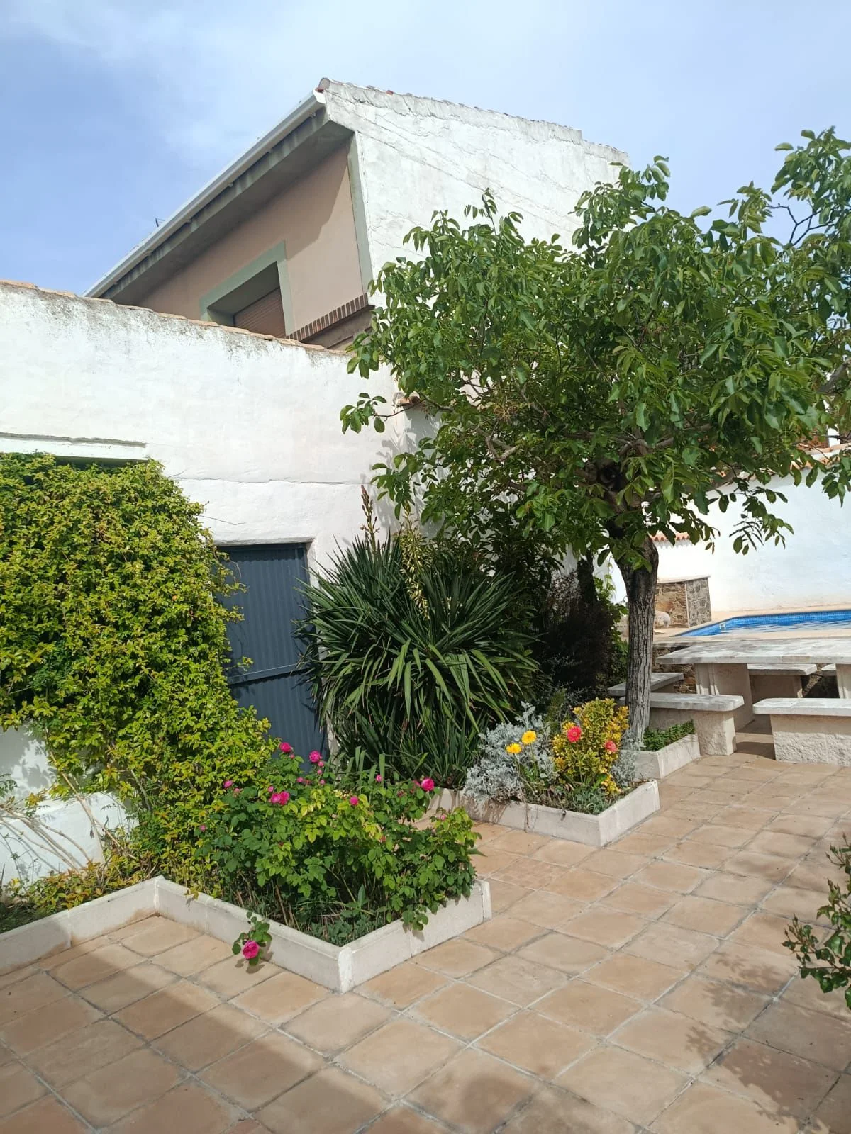 El jardín con vistas a la piscina