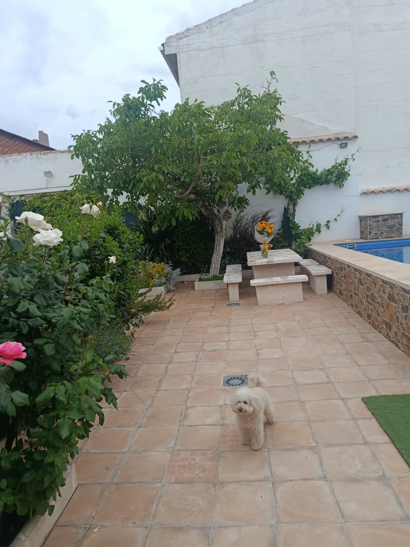La entrada al patio y al jardín