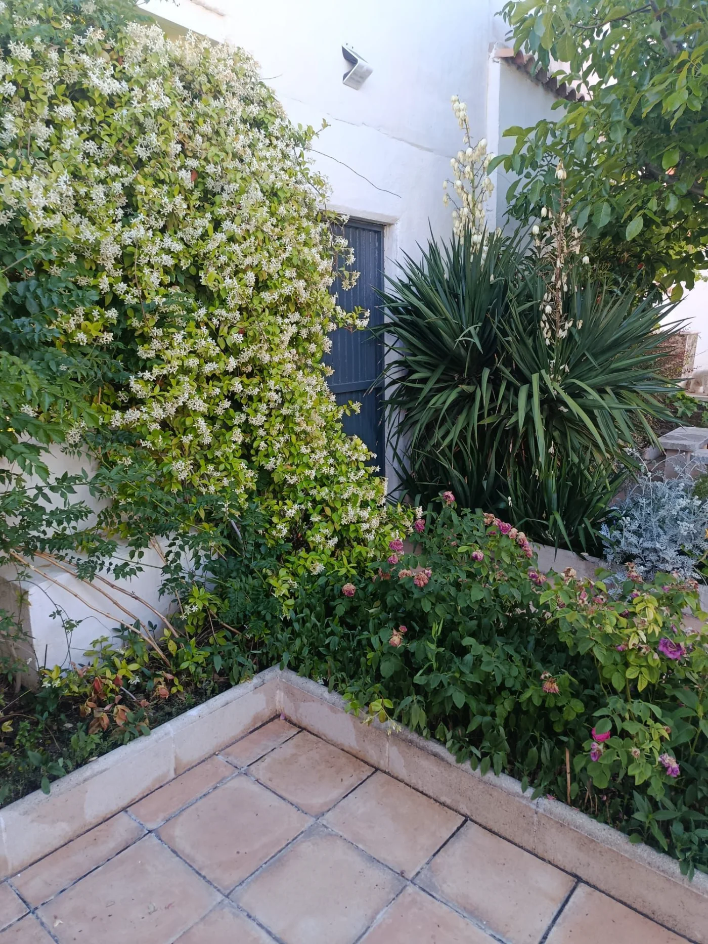 Jardín y piscina privada